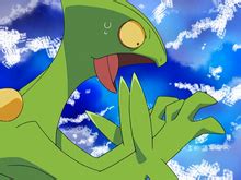 ash sceptile moves.